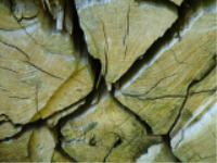 zerissenes holz